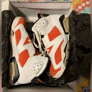 Nike Air Jordan 6 " Gatorade "